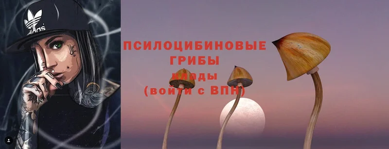 Галлюциногенные грибы Magic Shrooms  Ступино 